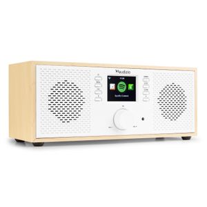 Internetradio en Spotify Connect - Audizio Rimini - AUX - Sleep Timer - Wit