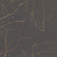 Roca 1200X1200 St.Lauren.FNL03E8161 Noir - thumbnail