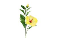 Decostar Hibiscus 70 cm geel