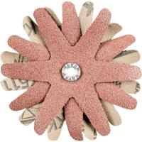 PFERD TOOLS 42732143 Schuursterren Diameter 90 mm 10 stuk(s)