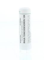 Homeoden Heel Rhus toxicodendron 12K 6 Gram