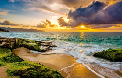Alexsar Art Tuindoek mossy beach 140x90cm