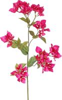 Bougainvillea spectabilis met 5 uitlopers kunstbloem zijde nepbloem - Driesprong collection