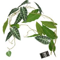 Bellatio Design kunstplant/hangplant slinger - Alocasia - groen - 105 cm