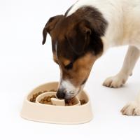 Nobleza Anti schrok bak voor hond - Driehoek - Beige