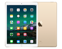 Refurbished iPad Pro 12.9" 2017 4g 256gb Goud  Licht gebruikt