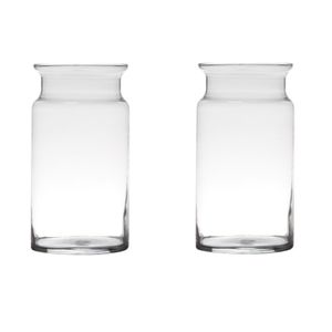 Set van 2x stuks transparante home-basics vaas/vazen van glas 29 x 15 cm