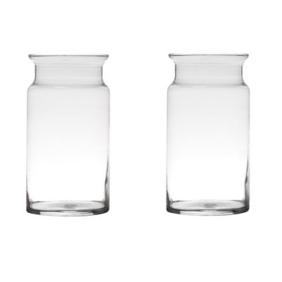 Set van 2x stuks transparante home-basics vaas/vazen van glas 29 x 15 cm