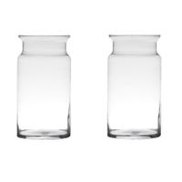 Set van 2x stuks transparante home-basics vaas/vazen van glas 29 x 15 cm