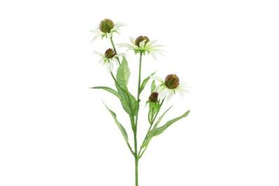 Decostar Echinacea 70 cm wit Decostar Echinacea 70 cm wit