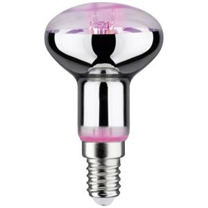 Paulmann LED-plantenlamp groei PAULMANN 230 V E14 4 W Barnsteen 1 stuk(s)