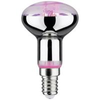 Paulmann LED-plantenlamp groei PAULMANN 230 V E14 4 W Barnsteen 1 stuk(s) - thumbnail