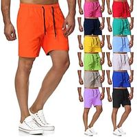 Voor heren Boardshorts Zwemshorts Lange zwembroeken Strandshorts Trekkoord Elastische taille Afdrukken Effen Kleur Afdrukken Sneldrogend Voor buiten Knielengte Dagelijks Strand Hawaii Chino Grasgroen Lightinthebox