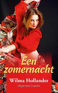 Een zomernacht - Wilma Hollander - ebook