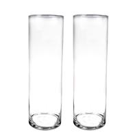 Hoge glazen cilinder bloemenvaas - Set van 2x stuks - H50 x D15 cm - Transparant
