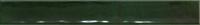 Dateg Wandtegel Celtic 5x40 Verde Groen