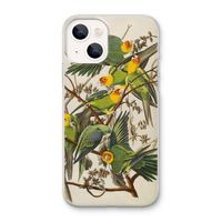Carolinaparkiet: iPhone 13 mini Transparant Hoesje