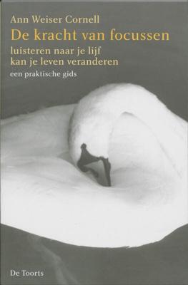 De kracht van focussen (Paperback)