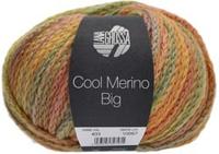 Lana Grossa Cool Merino Big Color 403 Goudgeel/oker/limoengroen/zalm/kaki