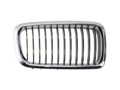 Radiateurgrille 6502070075996P