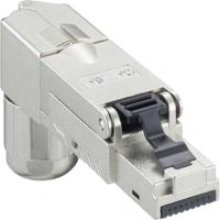 Lumberg 2542 03 Modulaire stekker,. 6a, 8p8c (RJ45), haakse uitvoering 167445 Stekker, haaks 1 stuk(s)
