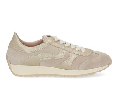DL Sport 6989 vers 02 sheer Beige maat 40