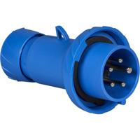 Schneider Electric PKX16M725 PKX16M725 CEE-stekker 16 A 250 V 1 stuk(s)