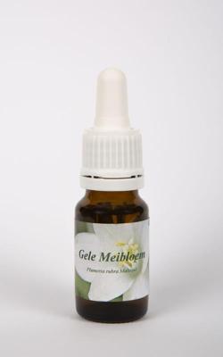 Star Remedies Gele meibloem 10 Milliliter