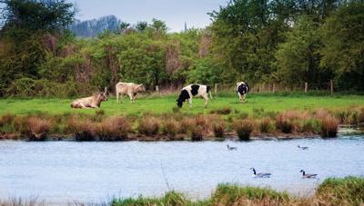 Polder 130x70cm Tuinschilderij - Customize it