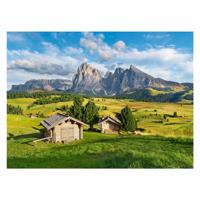 Ravensburger legpuzzel landschap - 500st.