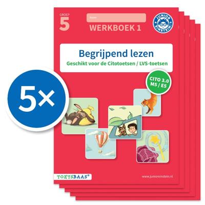 Begrijpend lezen werkboek 1 (Set van 5) (Paperback)