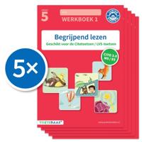 Begrijpend lezen werkboek 1 (Set van 5) (Paperback)