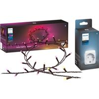 Philips Hue Lichtketting, Tussenstekker 8720169246867+871951434230900 Hue Festavia+Hue Smart Plug Type F