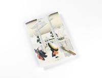 Japan (Hardback)