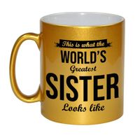 Worlds Greatest Sister cadeau mok / beker goudglanzend 330 ml   -