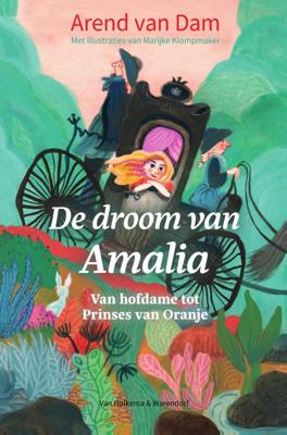 De droom van Amalia (Hardback)
