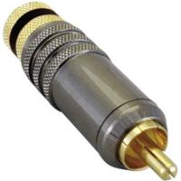 BKL Electronic 0101020 Cinch-connector Stekker, recht Aantal polen: 2 Zwart 1 stuk(s) - thumbnail