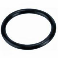 Europond EPDM O-ring 15,5x2,6mm voor Vijverkoppelingen - UV/Ozonbestendig - Duurzaam Rubber