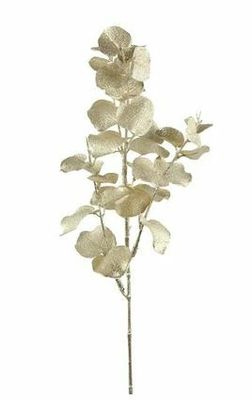 Eucalyptus metallic champagne