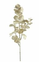 Eucalyptus metallic champagne