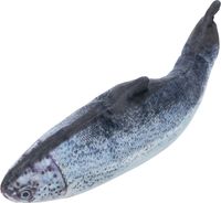 Trixie Trixie spartel vis met catnip van stof - thumbnail