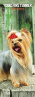 Yorkshire Terrier Kalender 2026 Slimline