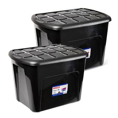 Plasticforte opberg kist met deksel - 2x - Box - 75 liter - 60 x 42 x 43cm - kunststof - transparant