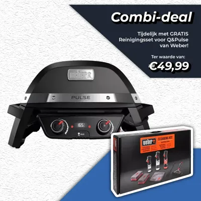 Weber Pulse 2000