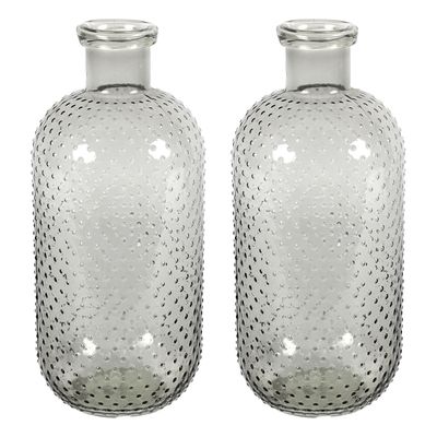 Bloemenvaas Cactus Dots - 2x - grijs transparant - glas - D15 x H35 cm