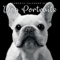 Dog Portraits Kalender 2026