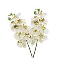 2x Witte Phaleanopsis/vlinderorchidee kunstbloemen 70 cm - thumbnail