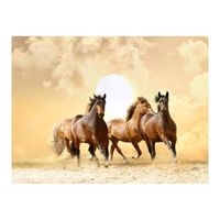 Fotobehang - Running Paarden 250x193cm - Vliesbehang