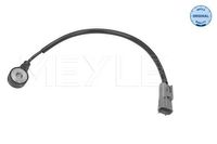 Klopsensor 33148110000