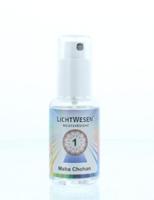 Lichtwesen Maha chohan tinctuur 1